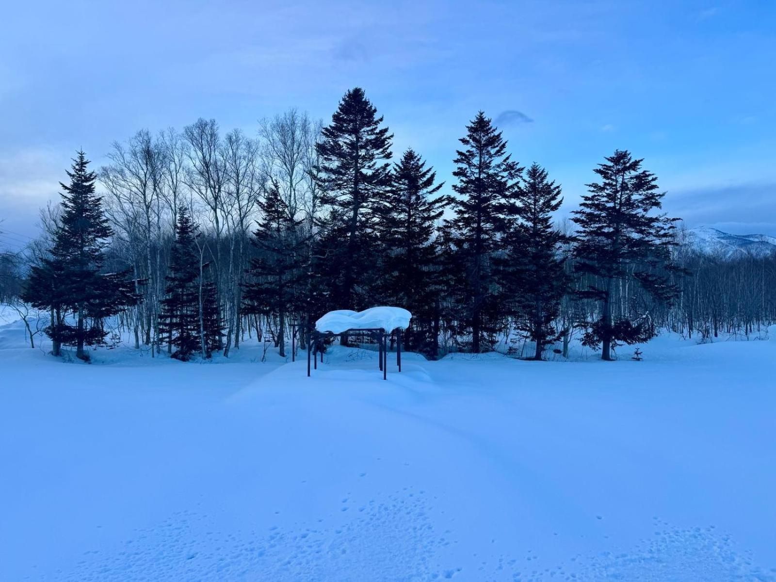 Hotel Resort Inn Niseko Bagian luar foto
