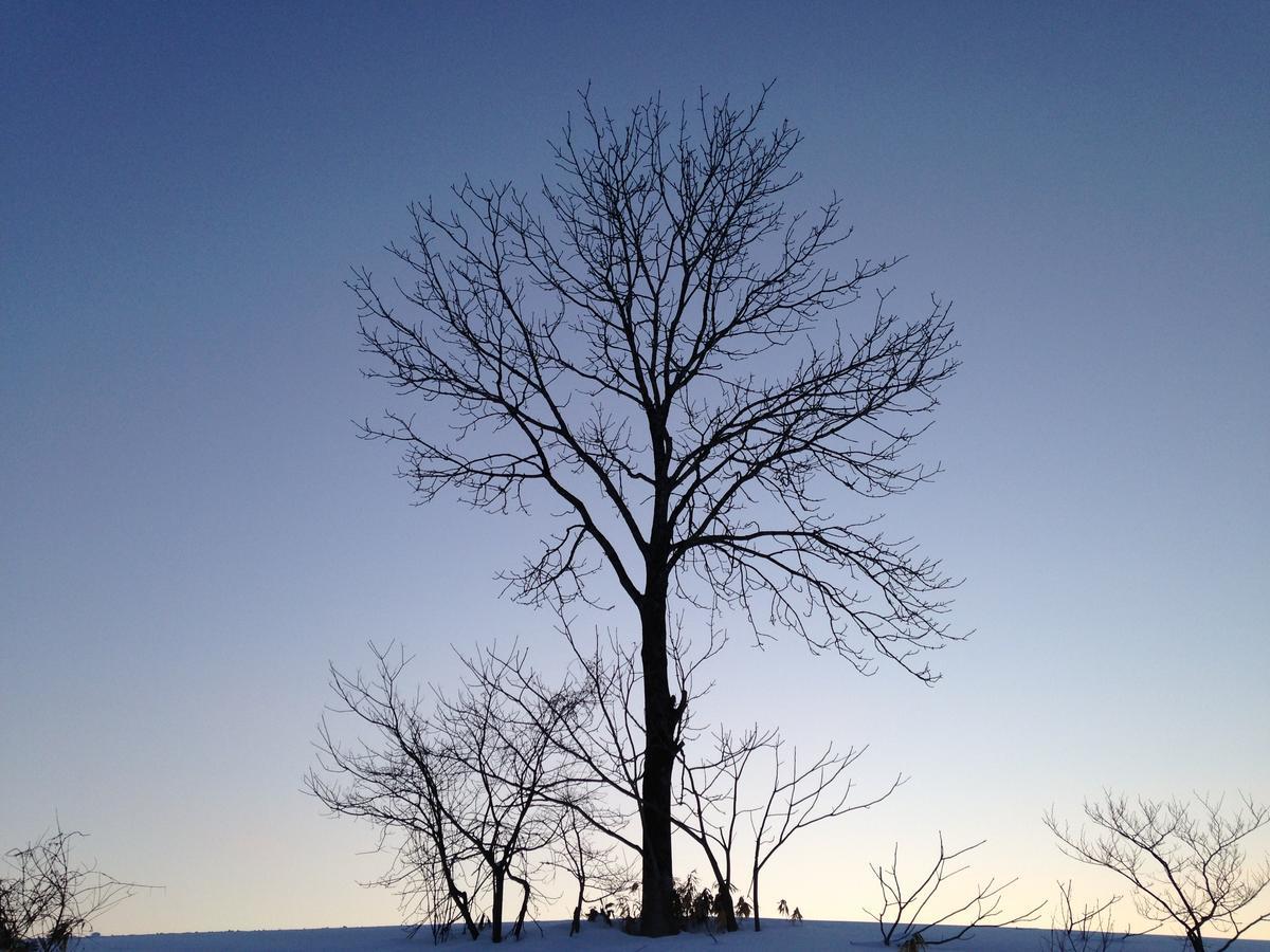 Hotel Resort Inn Niseko Bagian luar foto